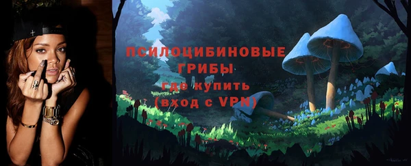 ГАЛЛЮЦИНОГЕННЫЕ ГРИБЫ Балахна
