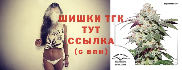 ГАЛЛЮЦИНОГЕННЫЕ ГРИБЫ Балахна