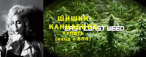 мяу мяу мука Беломорск