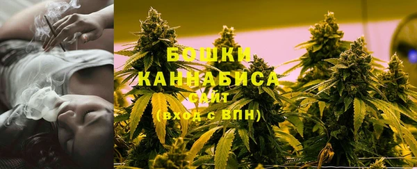 гашик Белокуриха
