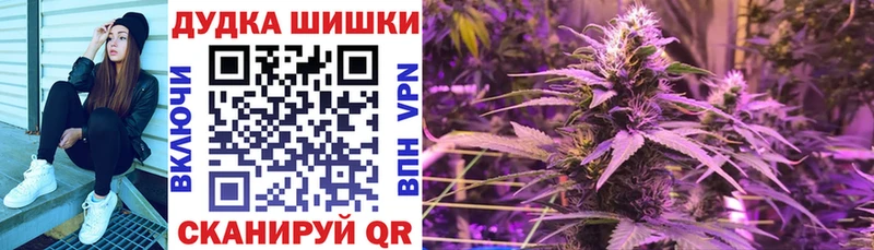 Конопля планчик  omg ссылка  Заинск  где можно купить  